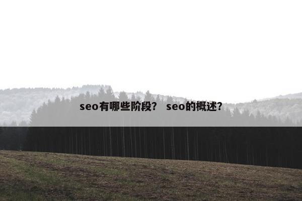 seo有哪些阶段？ seo的概述？