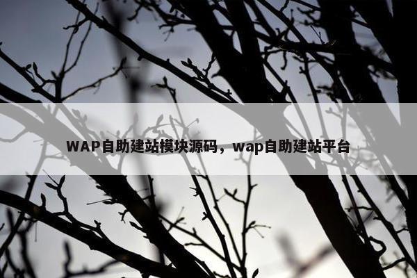 WAP自助建站模块源码，wap自助建站平台