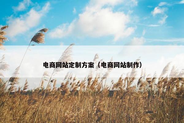 电商网站定制方案（电商网站制作）