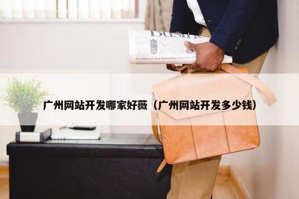 广州网站开发哪家好薇（广州网站开发多少钱）