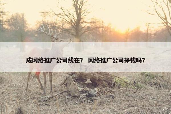 成网络推广公司线在？ 网络推广公司挣钱吗？