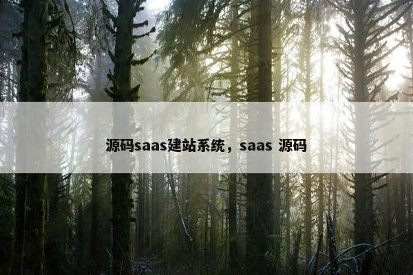 源码saas建站系统，saas 源码