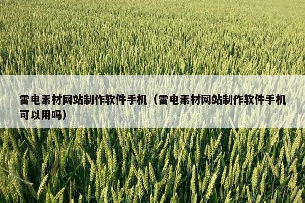 雷电素材网站制作软件手机（雷电素材网站制作软件手机可以用吗）