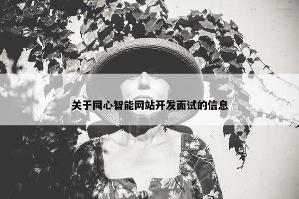 关于同心智能网站开发面试的信息