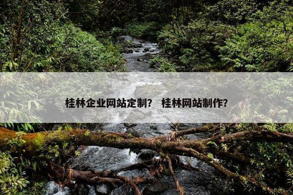 桂林企业网站定制？ 桂林网站制作？