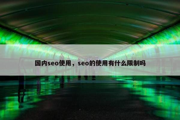 国内seo使用，seo的使用有什么限制吗