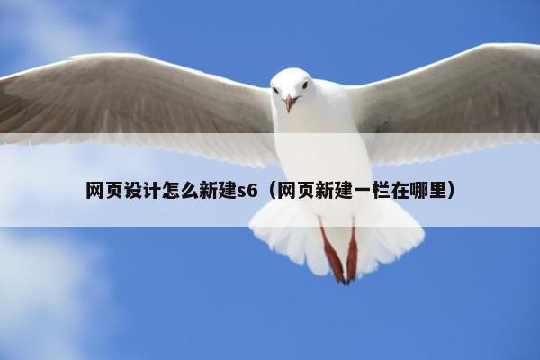 网页设计怎么新建s6（网页新建一栏在哪里）