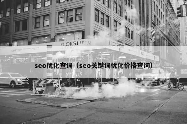 seo优化查词（seo关键词优化价格查询）