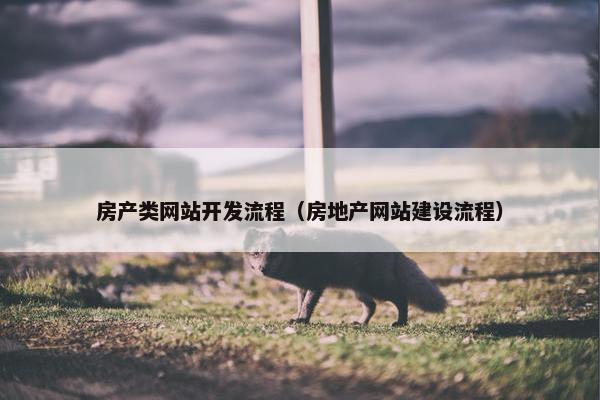 房产类网站开发流程（房地产网站建设流程）