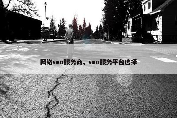 网络seo服务商，seo服务平台选择