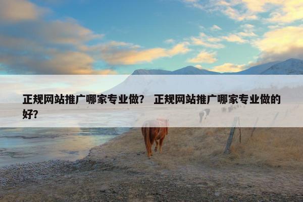 正规网站推广哪家专业做？ 正规网站推广哪家专业做的好？