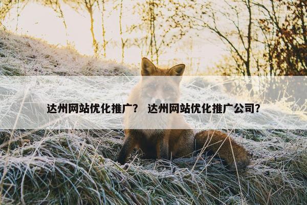 达州网站优化推广？ 达州网站优化推广公司？