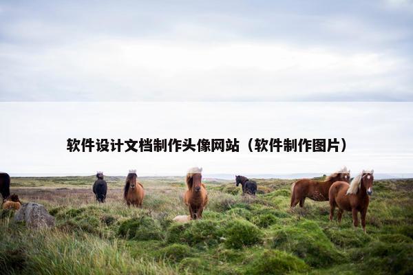 软件设计文档制作头像网站（软件制作图片）