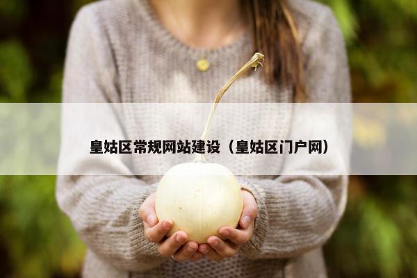 皇姑区常规网站建设（皇姑区门户网）