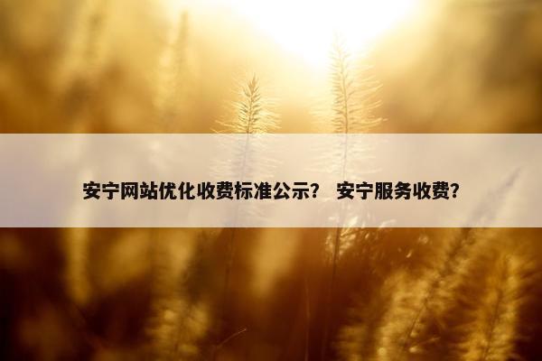 安宁网站优化收费标准公示？ 安宁服务收费？