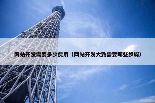 网站开发需要多少费用（网站开发大致需要哪些步骤）