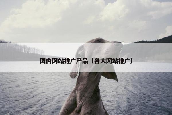 国内网站推广产品（各大网站推广）