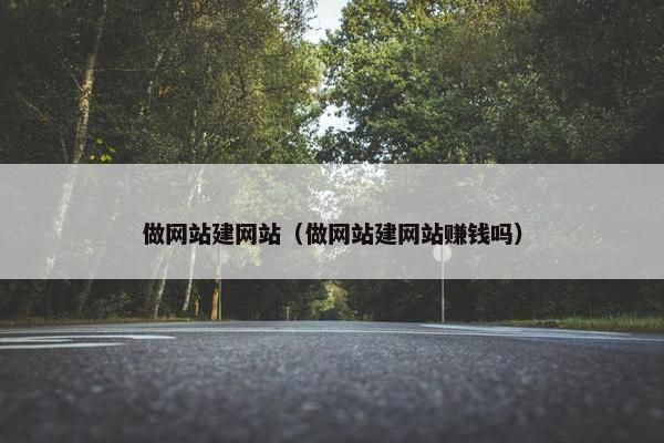 做网站建网站（做网站建网站赚钱吗）