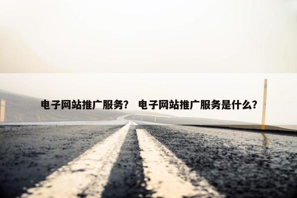 电子网站推广服务？ 电子网站推广服务是什么？