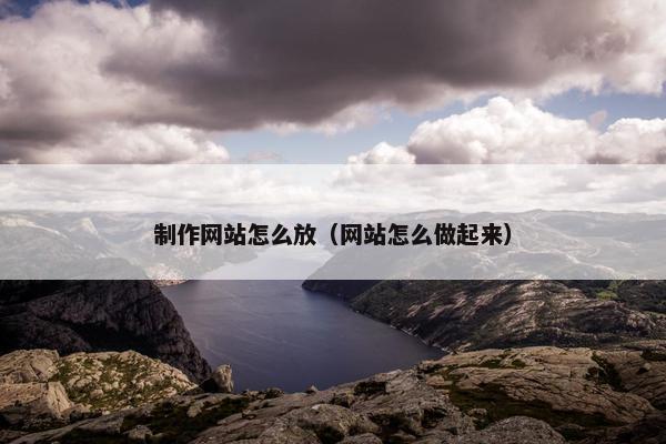 制作网站怎么放（网站怎么做起来）