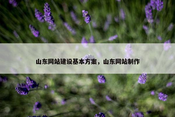 山东网站建设基本方案，山东网站制作