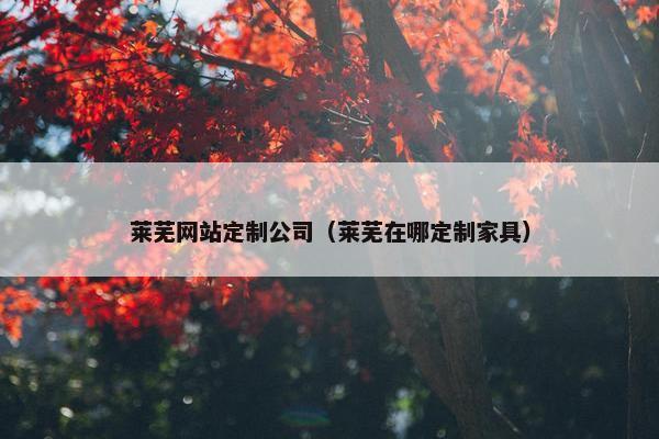 莱芜网站定制公司（莱芜在哪定制家具）