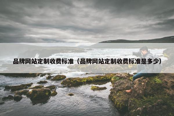 品牌网站定制收费标准（品牌网站定制收费标准是多少）