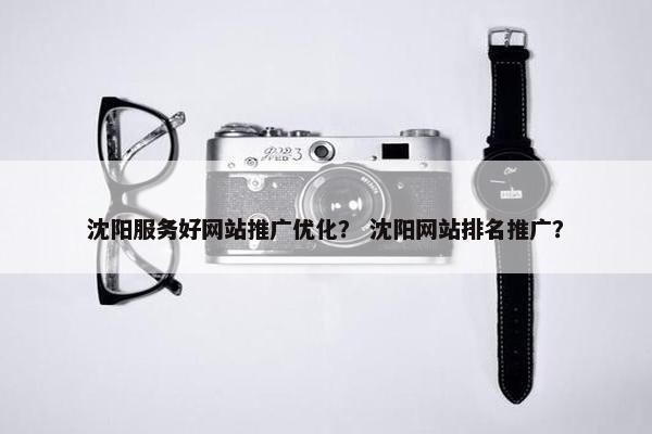 沈阳服务好网站推广优化？ 沈阳网站排名推广？