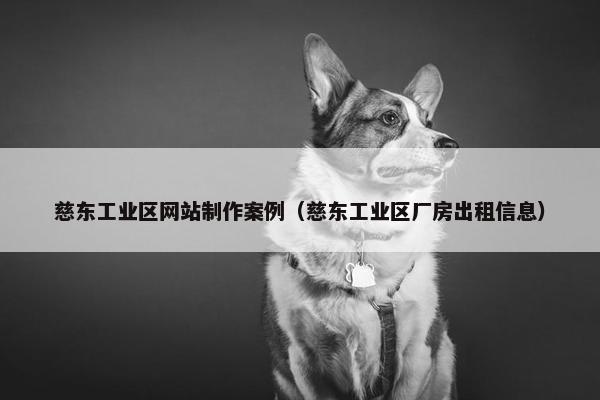 慈东工业区网站制作案例（慈东工业区厂房出租信息）