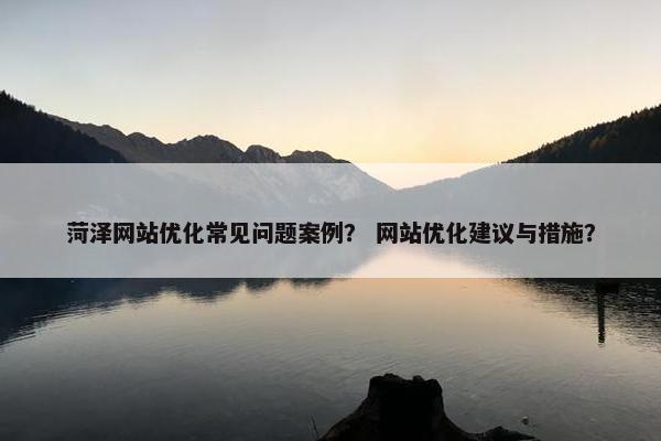 菏泽网站优化常见问题案例？ 网站优化建议与措施？