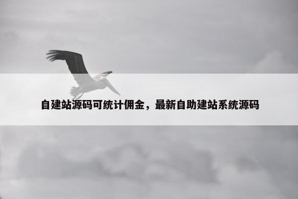 自建站源码可统计佣金，最新自助建站系统源码
