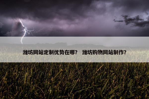 潍坊网站定制优势在哪？ 潍坊购物网站制作？