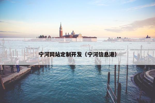 宁河网站定制开发（宁河信息港）