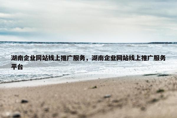 湖南企业网站线上推广服务，湖南企业网站线上推广服务平台