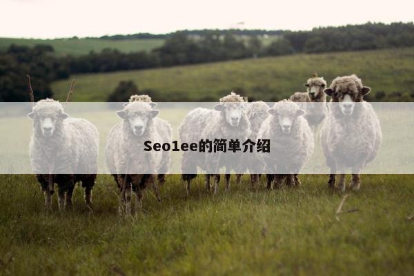 Seo1ee的简单介绍