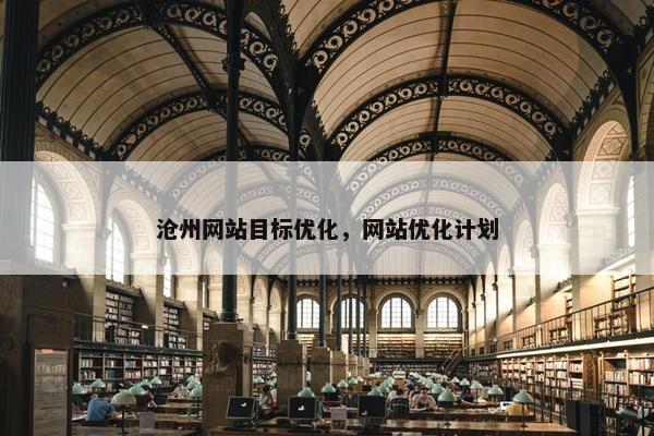 沧州网站目标优化，网站优化计划