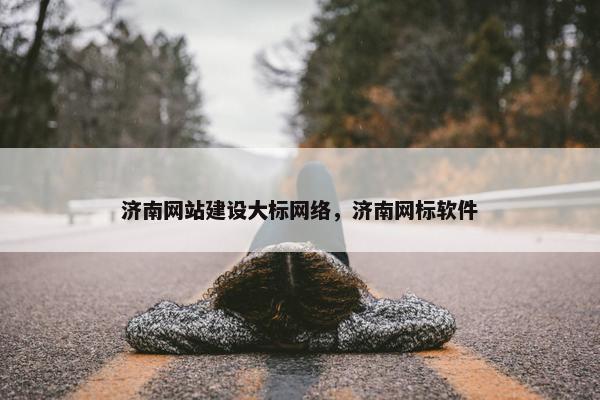 济南网站建设大标网络，济南网标软件