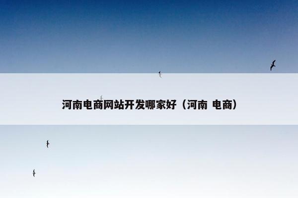 河南电商网站开发哪家好（河南 电商）