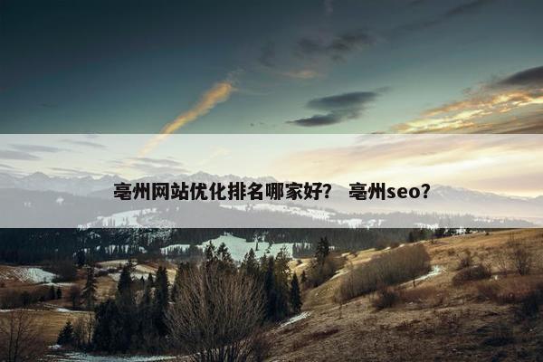 亳州网站优化排名哪家好？ 亳州seo？