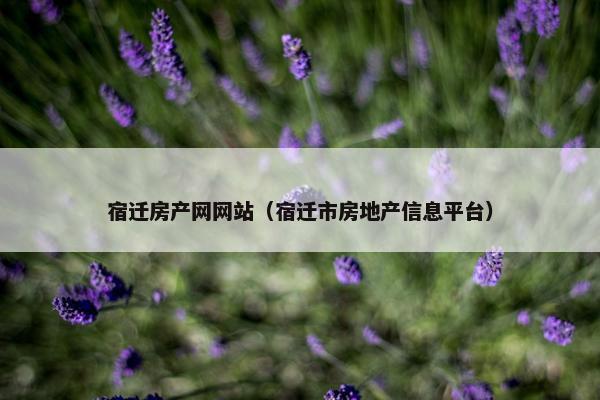 宿迁房产网网站（宿迁市房地产信息平台）