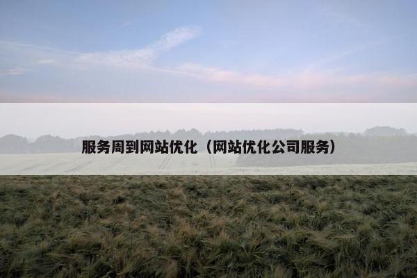 服务周到网站优化（网站优化公司服务）