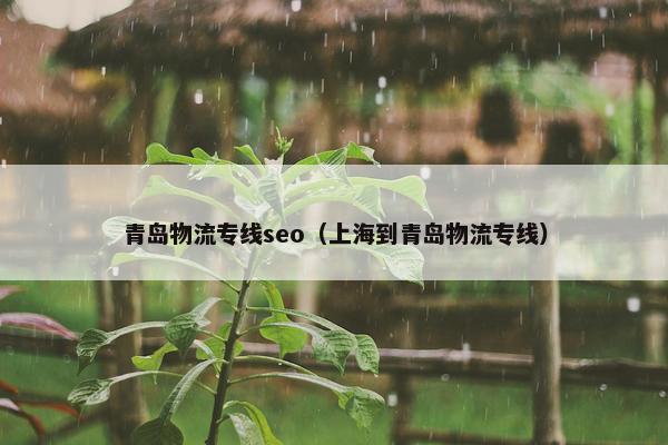青岛物流专线seo（上海到青岛物流专线）
