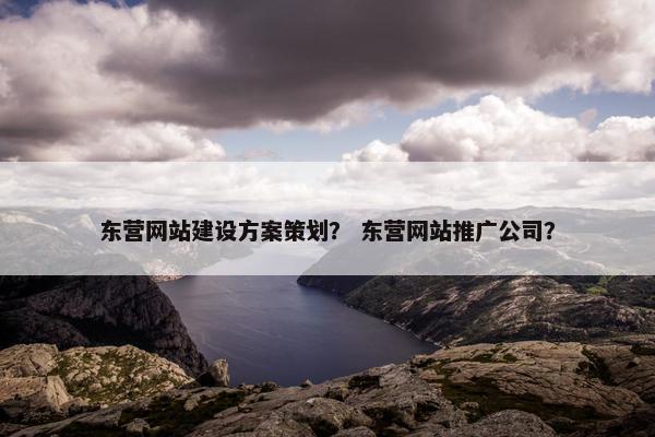 东营网站建设方案策划？ 东营网站推广公司？