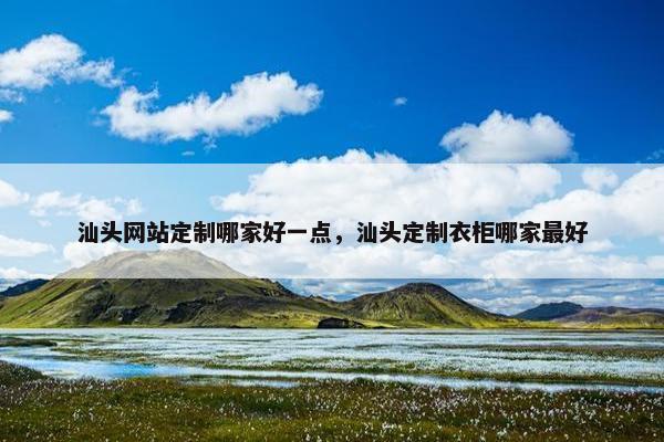 汕头网站定制哪家好一点，汕头定制衣柜哪家最好