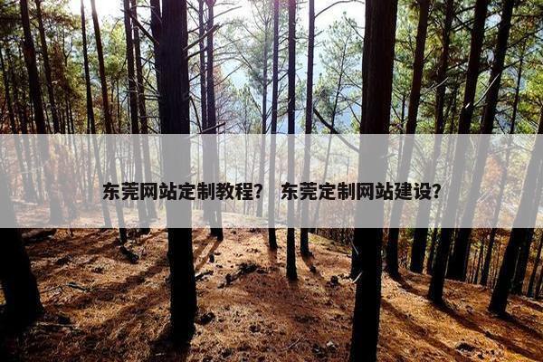 东莞网站定制教程？ 东莞定制网站建设？