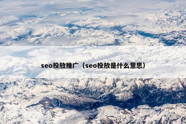seo投放推广（seo投放是什么意思）