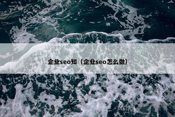 企业seo知（企业seo怎么做）