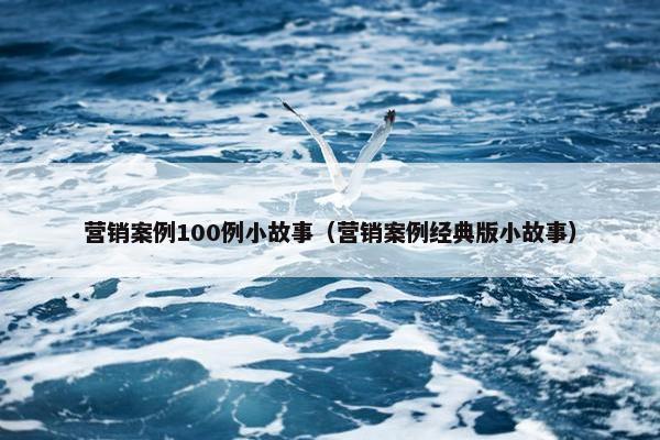 营销案例100例小故事（营销案例经典版小故事）